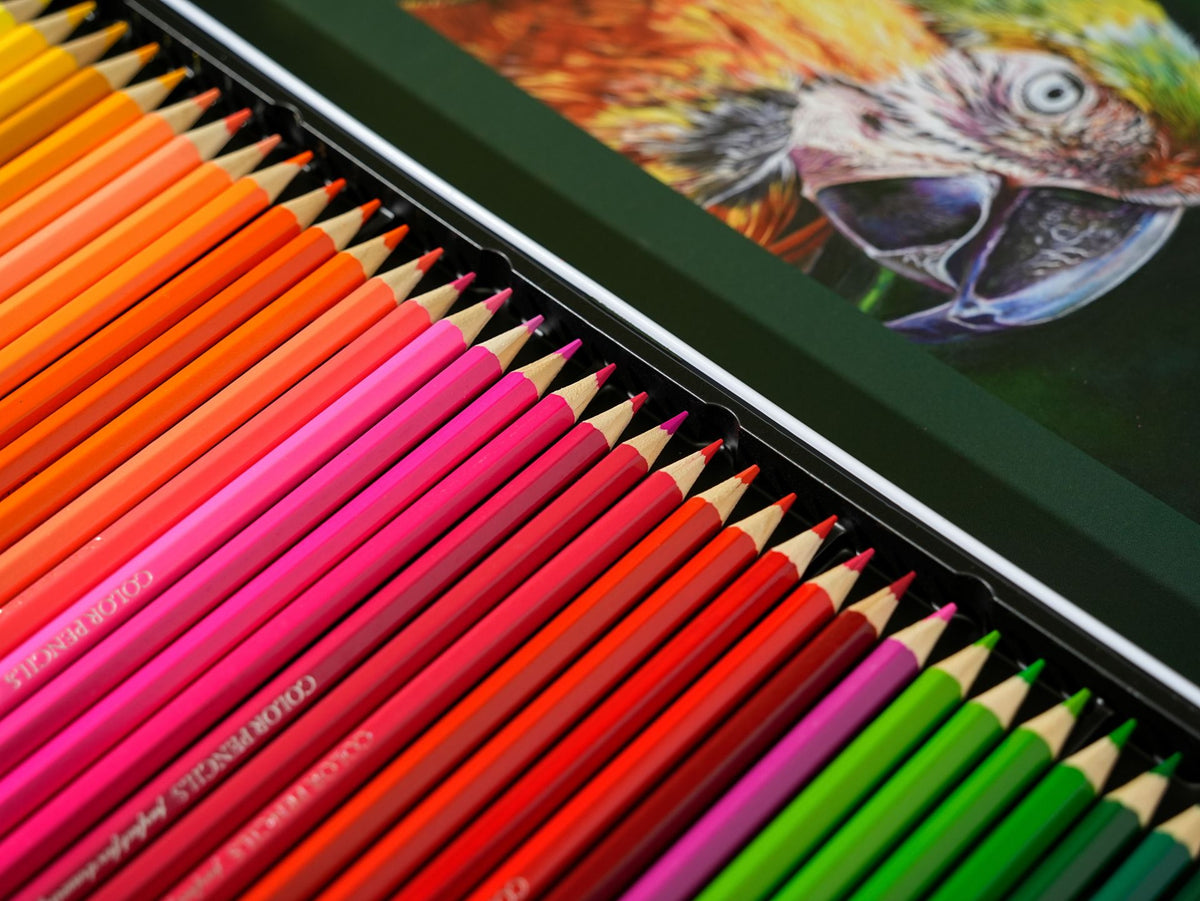 Close-Up of Colorful Colored Pencils Arranged in a Storage Tray